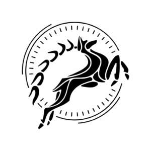 PÉM